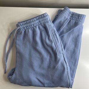 Blue Aerie Joggers